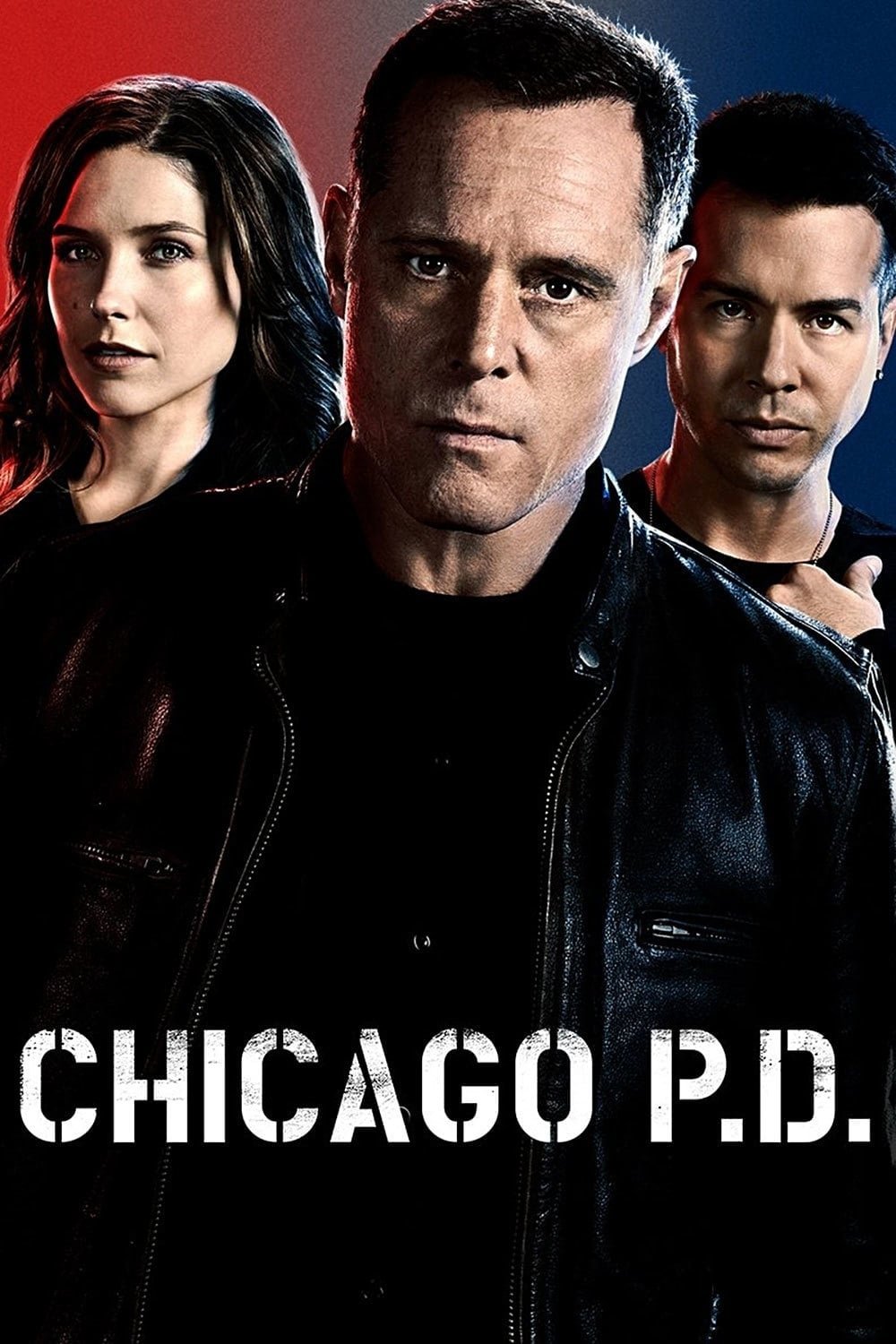 Chicago Police Department saison 2